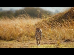 Nachtzichtsbrillen - 5K nachtzichtsverrekijker voor volwassenen, 5000mAh oplaadbare infraroodverrekijker