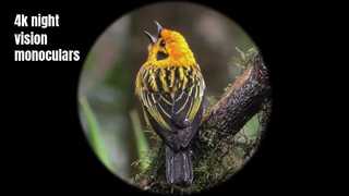 4K hoogwaardige nachtkijker