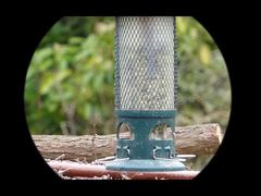 4K Video Mini91 Nachtkijker